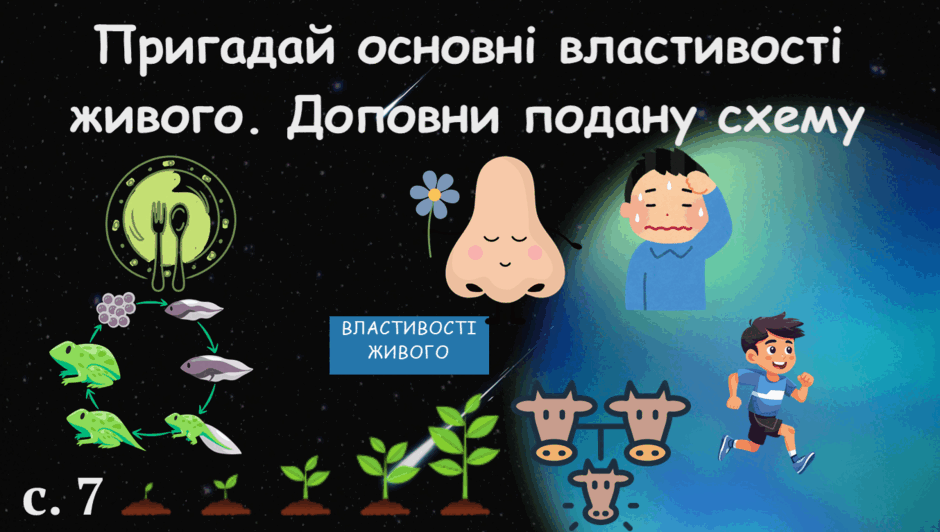 0801ae33-d274-940x532.png