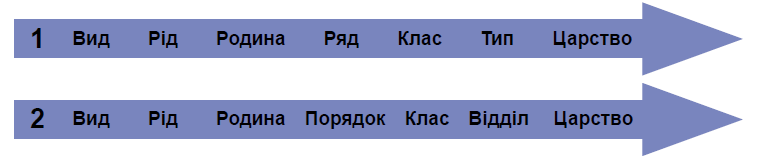 0801ae65-ed50-762x160.png