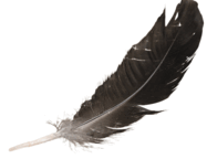 0801aecy-9a46-940x723.png