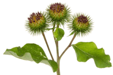 0801aed2-b1d3-940x622.png