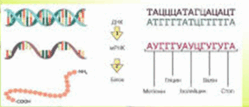 0801ahhv-f098-249x107.png