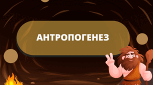Презентація з уроку історія України. Всесвітня історія для 6 класу на тему "Антропогенез"