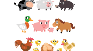 Farm animals
