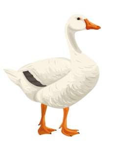 0801aktj-5fc4-243x297.png