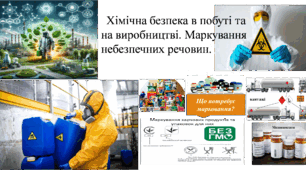 Презентація до уроку "Хімічна безпека в побуті та на виробництві. Марковання небезпечних речовин."