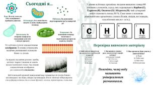 Організм людини як саморегульована біологічна система: молекулярний та клітинний рівень