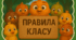 Правила класу "Пташенята"