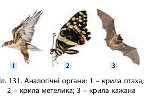 0801aph0-8949-285x188.png