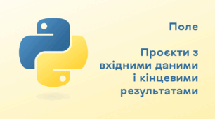 Презентація до уроку за темою "Поле. Проєкти з вхідними даними і кінцевими результатами"