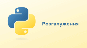 Презентація до уроку за темою "Розгалуження"