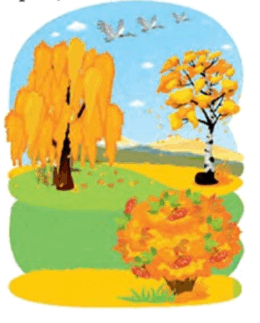 0801azsy-c8cc-336x418.png