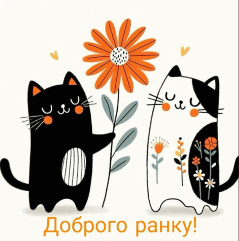 0801b2ei-bf6e-471x475.png