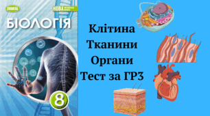 Організм людини як біологічна система. Узагальнення(ГР3). 8 клас НУШ 