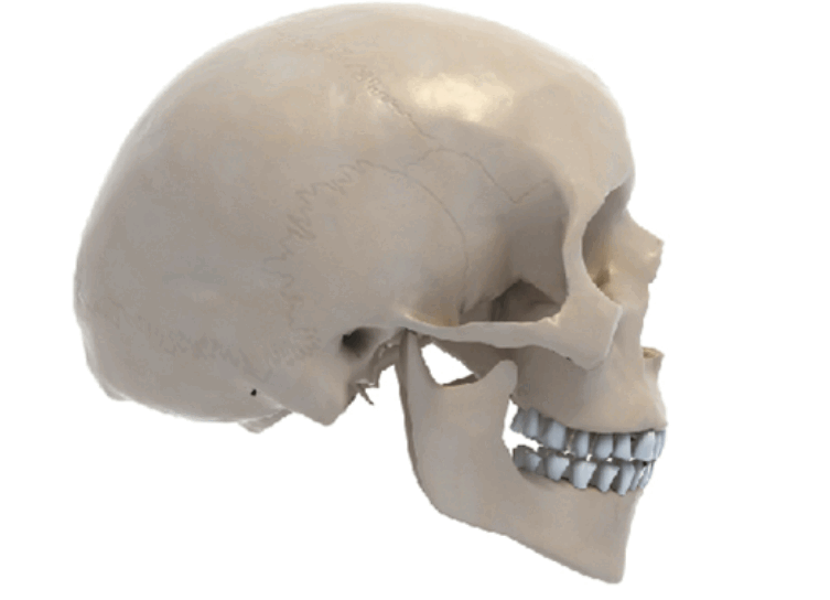 0801bi1p-9b55-753x544.png
