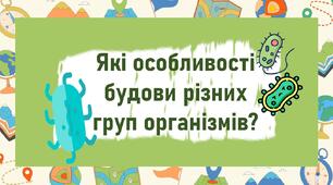 Які особливості будови різних груп організмів?