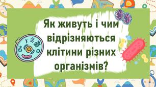 Як живуть і чим відрізняються клітини різних організмів?