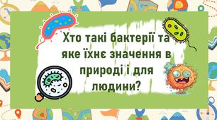 Хто такі бактерії та яке їхнє значення в природі і для людини?