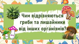 Чим відрізняються гриби та лишайники від інших організмів?