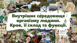 Внутрішнє середовище організму людини. Кров, її склад та функції.