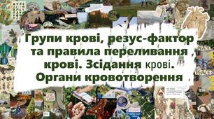Групи крові, резус-фактор та правила переливання крові. Зсідання крові. Органи кровотворення