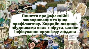 Поняття про інфекційні захворювання та їхню профілактику. Хвороби людини, збудниками яких є віруси, шляхи інфікування організму людини