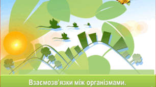 Взаємозв'язки між організмами. Співіснування організмів. Угруповання організмів.