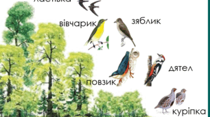 § 6. ЕКОЛОГІЧНА НІША