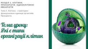 Презентація "Які є типи організації клітин"
