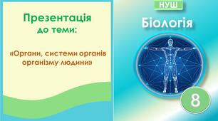 Презентація до теми: "Органи, системи органів організму людини". Біологія 8 клас НУШ