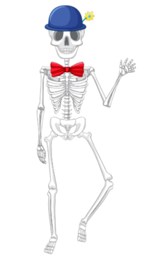 0801bnqu-5487-219x385.png