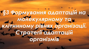 §3 Формування адаптацій на молекулярному та клітинному рівнях 