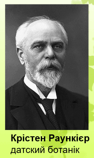 0801bott-29c7-299x502.png