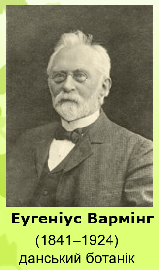 0801boub-f1e4-328x557.png