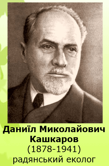 0801bowd-b64e-362x549.png