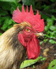 0801bqeq-b746-110x135.png