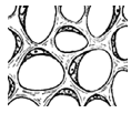 0801bros-59a2-118x102.png