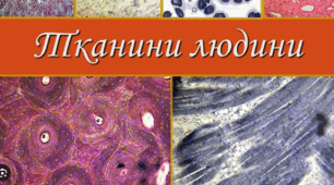 Клітина та тканини людини