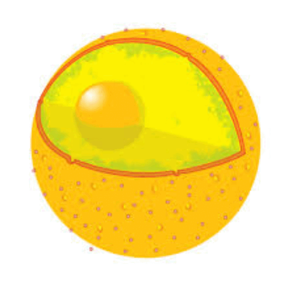 0801bsvu-4bcf-563x567.png