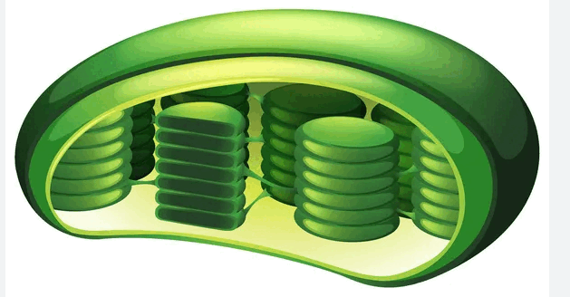 0801bsvw-a1d9-629x328.png