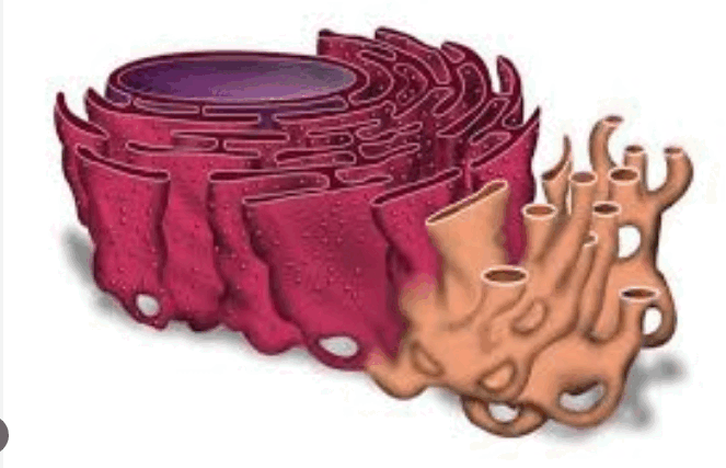 0801bsw3-6865-663x427.png