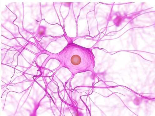 0801bt5f-e927-496x372.png