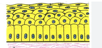 0801bt5h-02e0-327x156.png