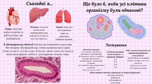 Тканини організму людини.