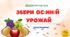 Дидактична гра "Збери осінній урожай" (половинки)