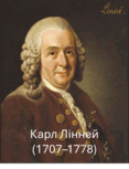 0801c7lz-72c9-267x349.png