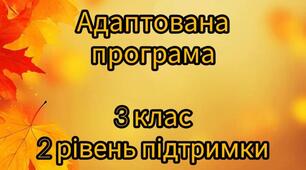 Адаптовані програми 3 клас, 2 рівень підтримки: математика, мова, читання, фізична культура, образотворче, технології, ЯДС
