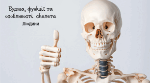НУШ 8 клас. Будова, функції та особливості  скелета людини у зв'язку з прямоходінням.
