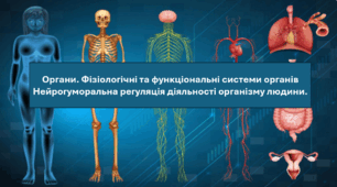 Презентація "Органи. Фізіологічні та функціональні системи органів Нейрогуморальна регуляція діяльності організму людини.НУШ"