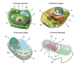0801cdcw-d3b9-272x216.png
