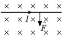 0801cfes-bff9-224x133.png